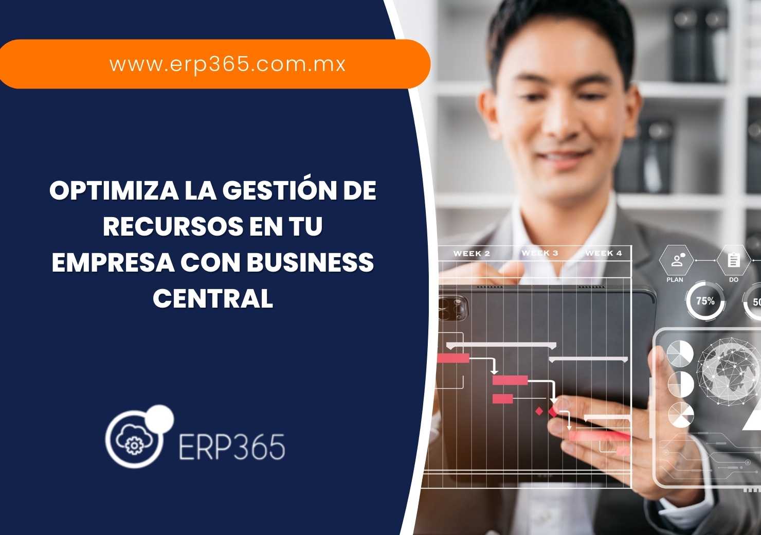 Optimiza la gestión de recursos en tu empresa con Business Central