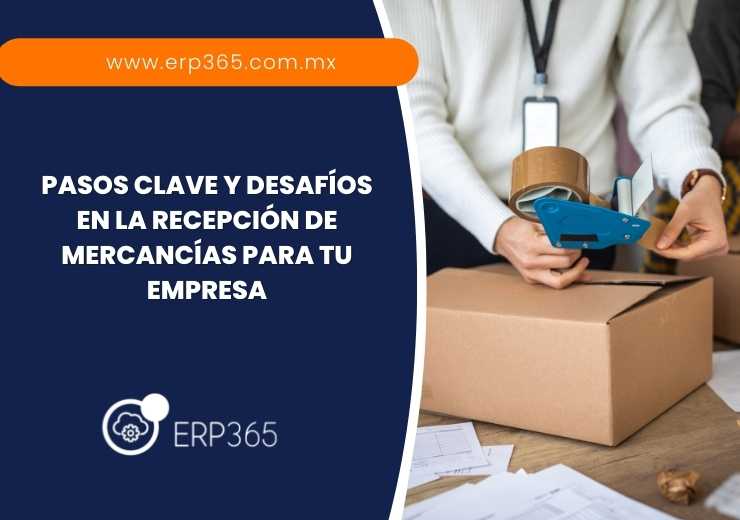 Pasos clave y desafíos en la recepción de mercancías para tu empresa