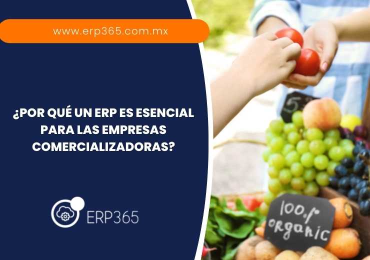 ¿Por qué un ERP es esencial para las empresas comercializadoras?